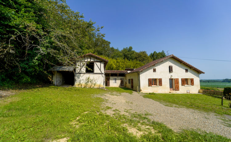 Agence Immobilière Aire sur l'Adour | Côté Patio Immobilier