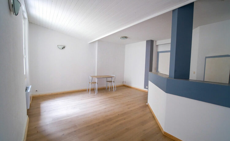 Appartement Aire Sur L Adour 2 pièce(s) 41.12 m2 2