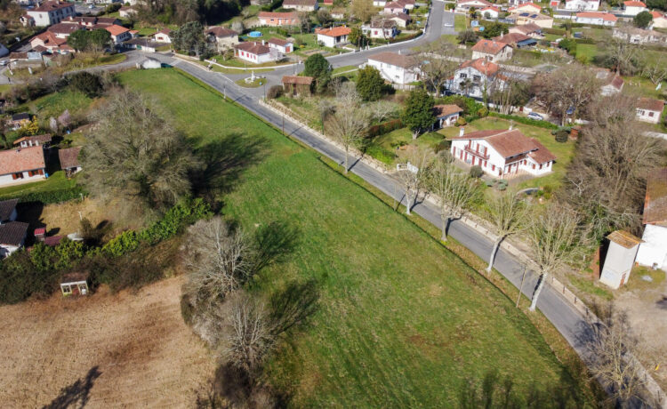 TERRAIN A VENDRE 2