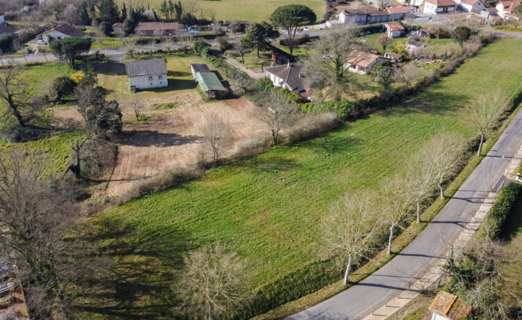 TERRAIN A VENDRE 3