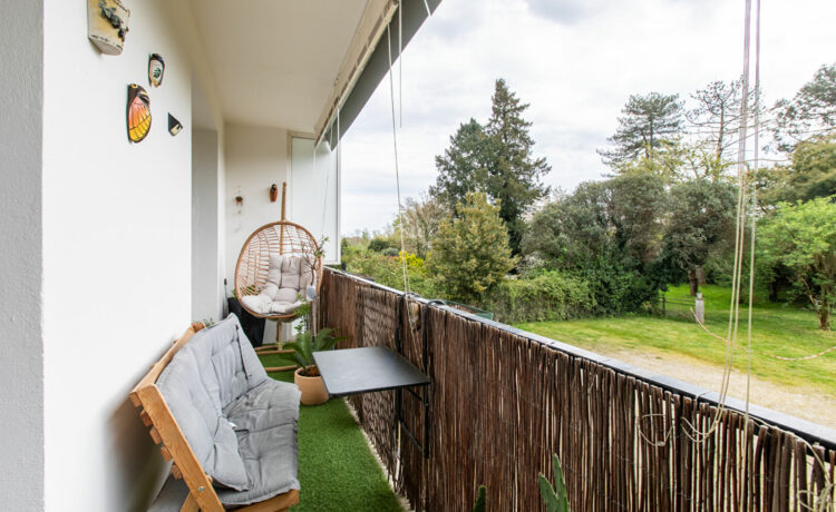 Bel appartement luminueux 2