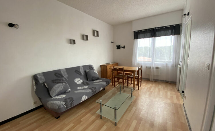 2 pièces 29.51 m² T1BIS MEUBLE 1